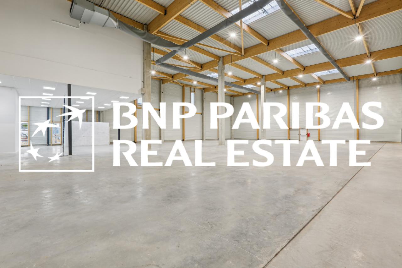 Local d'activité Moissy-Cramayel 2129m² Location local d'activité Moissy-Cramayel Seine-et-Marne OLACT2201095 8